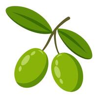 olive vegetable for cooking meals. A bright element isolated on white for design vector