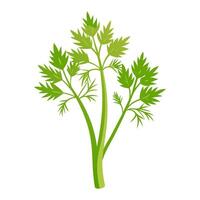 fennel vegetable for cooking meals. A bright element isolated on white for design. vector