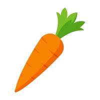 carrot vegetable for cooking meals. A bright element isolated on white for design vector