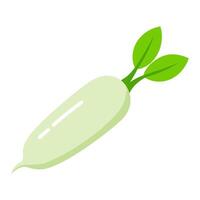daikon vegetable for cooking meals. A bright element isolated on white for design vector