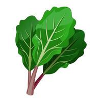 chard vegetable for cooking meals. A bright element isolated on white for design vector
