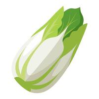 endive vegetable for cooking meals. A bright element isolated on white for design. vector