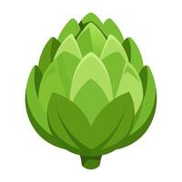 artichoke vegetable for cooking meals. A bright element isolated on white for design vector