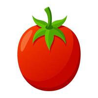 tomato vegetable for cooking meals. A bright element isolated on white for design illustration vector