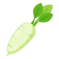 daikon vegetable for cooking meals. A bright element isolated on white for design vector