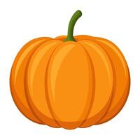 pumpkin vegetable for cooking meals. A bright element isolated on white for design vector