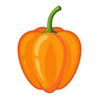 hot pepper, habanero pepper vegetable for cooking meals. A bright element isolated on white for design illustration vector