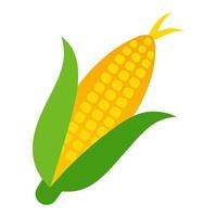 corn vegetable for cooking meals. A bright element isolated on white for design vector