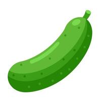 cucumber vegetable for cooking meals. A bright element isolated on white for design. vector
