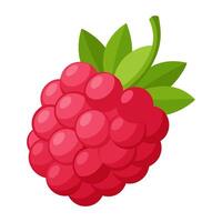 raspberry colorful fruit. Modern abstract flat style. Natural tropical fruit. vector