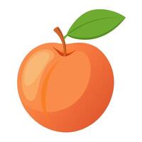 peach colorful fruit. Modern abstract flat style. Natural tropical fruit. vector