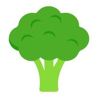 broccoli vegetable for cooking meals. A bright element isolated on white for design. vector