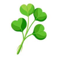 watercress vegetable for cooking meals. A bright element isolated on white for design illustration vector