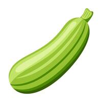zucchini vegetable for cooking meals. A bright element isolated on white for design vector