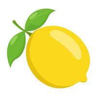 Lemon colorful fruit. Modern abstract flat style. Natural tropical fruit illustration vector