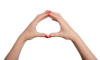 Hands holding together, symbolizing unity and connection. Isolated on a white background, showing photo