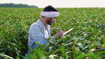 Indian farmer in a soybean field, writing on a clipboard, checking the quality and growth of the crops video