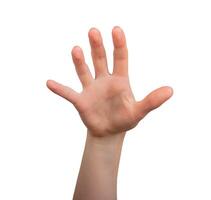 Hand reaching forward, ready to grab or catch. Isolated on a white background, showing an photo