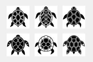 silhouette of a turtle on a white background vector