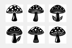 Beautiful Set of Mushroom Illustrations vector