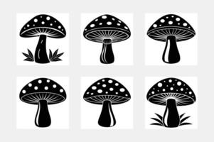 Unique Set of Mushroom Illustrations for Artists vector