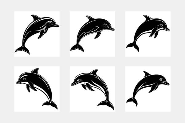 その他 Artbeats Dolphins creative-dolphin-silhouette-