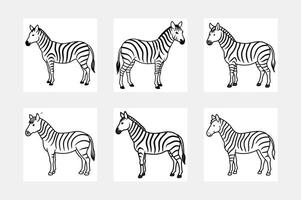 Engaging Zebra Coloring Book with Line Art vector