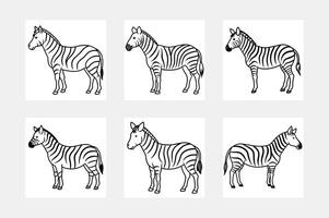 Explore Zebra Line Art for Kids Coloring Fun vector