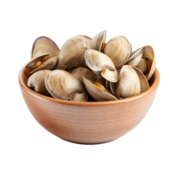 A bowl of clams isolated on transparent background png