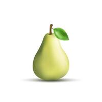 Illustration of pear fruit isolated on white background vector