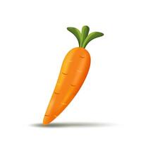 illustration of carrot vegetables isolated on white background vector