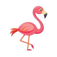 Standing Flamingo bird vector