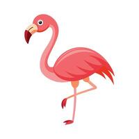 Standing Flamingo bird vector