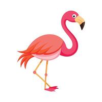 Standing Flamingo bird vector