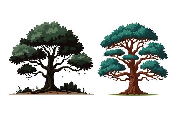 Group of Green tree illustration with lush foliage and intricate branches on a white background