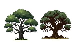 Group of Green tree illustration with lush foliage and intricate branches on a white background vector