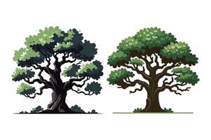 Group of Green tree illustration with lush foliage and intricate branches on a white background vector