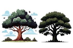 Group of Green tree illustration with lush foliage and intricate branches on a white background vector