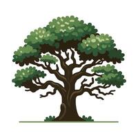 Green tree illustration with lush foliage and intricate branches on a white background vector