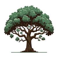 Green tree illustration with lush foliage and intricate branches on a white background vector