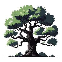 Green tree illustration with lush foliage and intricate branches on a white background vector