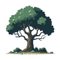 Green tree illustration with lush foliage and intricate branches on a white background vector