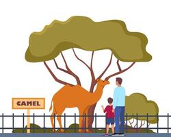 Camel on territory of wildlife zoo park surrounded by fence. Parent and kid watching animals in zoo park. illustration. vector
