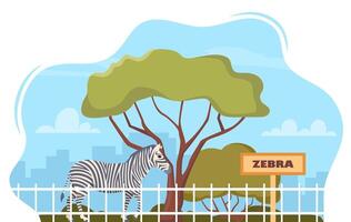 Zebra on territory of wildlife zoo park surrounded by fence. illustration. vector