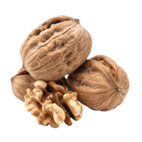Walnut Isolated on Transparent Background png