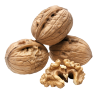 Walnut Isolated on Transparent Background png
