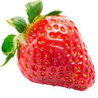 Raspberry Isolated on Transparent Background png