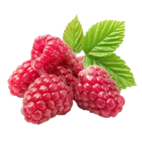 Raspberry Isolated on Transparent Background png