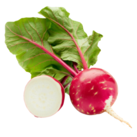 Radish with Leaf Isolated on Transparent Background png