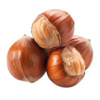 Kola Nut Isolated on Transparent Background png